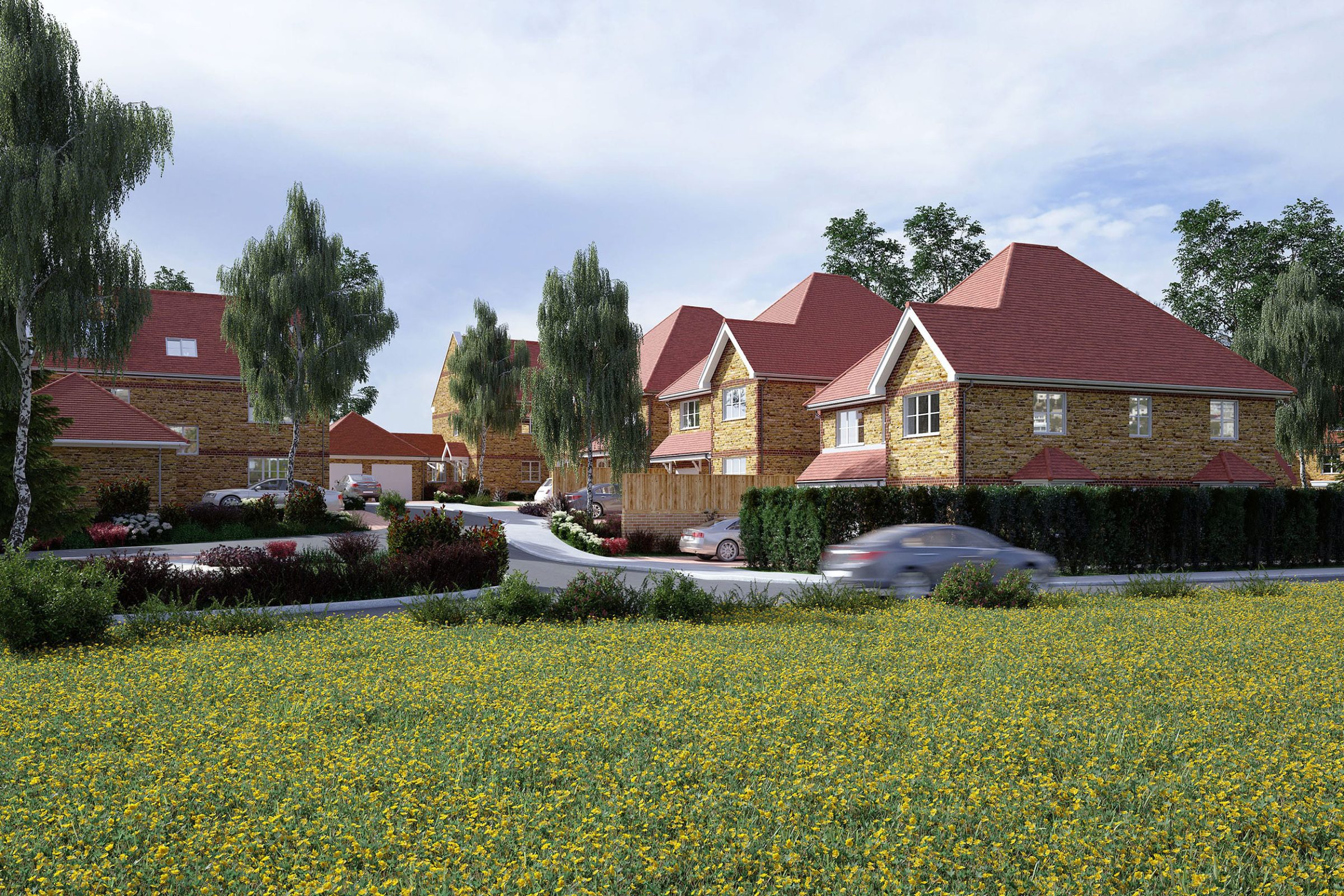 New-build housing development seen across a wildflower meadow